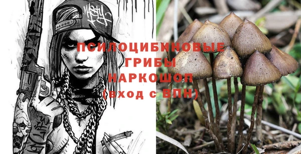гидра Армянск