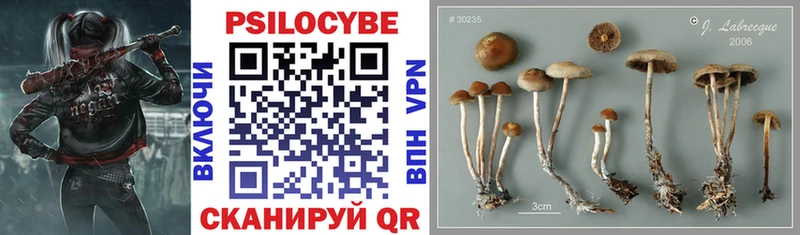 магазин продажи наркотиков  Лыткарино  Галлюциногенные грибы MAGIC MUSHROOMS 